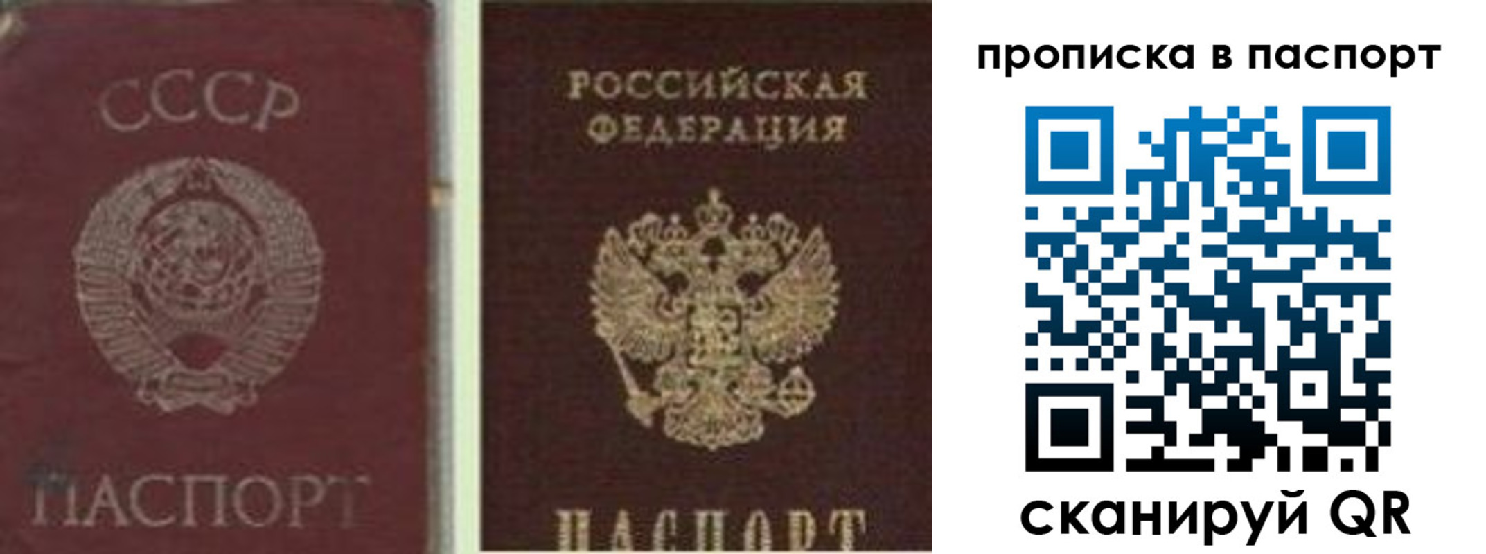 временная регистрация недорого в Реутове